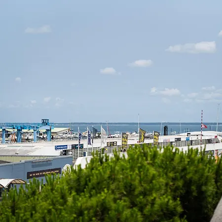 Piton Des Neiges - Nid Douillet Terrasse Vue Port 公寓